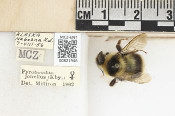 Media type: image;   Entomology 821946 Aspect: labels